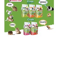 Портфолио Marie-Hélène Masson