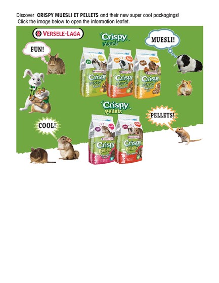 Print Design: Animal food 